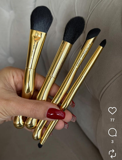 Mac cosmetics canada brush set with case